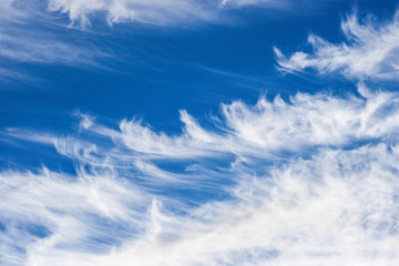 Wall Mural - Cirrus Clouds in a blue sky