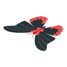 Red Black Butterfly Icon. Isometric Of Red Black Butterfly Vector Icon For Web Design Isolated On White Background