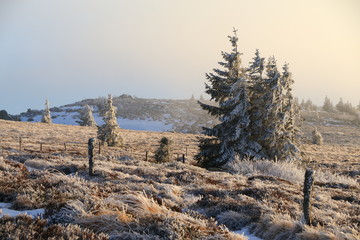 Poster - Le Gazon du Faing dans les Vosges en hiver