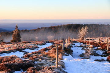 Poster - Le Gazon du Faing dans les Vosges en hiver