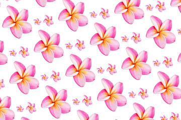 Wall Mural - White background flower image