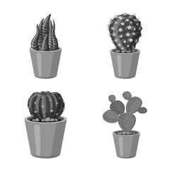 Sticker - Isolated object of cactus and pot symbol. Collection of cactus and cacti vector icon for stock.