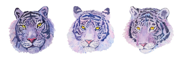 Aufkleber - Tiger. Watercolor animal illustration. Hand drawn big cat. Set of beautiful predators.