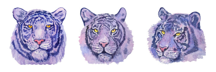 Aufkleber - Tiger. Watercolor animal illustration. Hand drawn big cat. Set of beautiful predators.