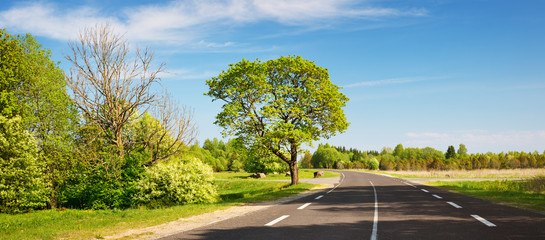 Wall Mural - asphalt road panorama in countryside on sunny summer day