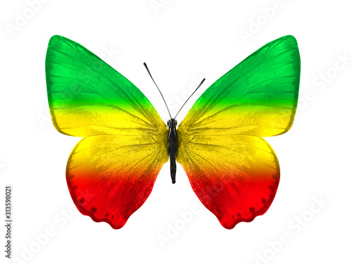 Dekoracja na wymiar  motyl-na-bialym-tle-ze-skrzydlami-zoltym-zielonym-czerwonym-kolor-rasta