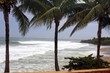 Hurricane water surge through palm trees on domes beach