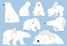 Simple White Bear Character.Vector Illustration Character Doodle Cartoon