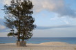 Calm blue sea and white sand on the Kita beach Mananga Aba, Southwest Sumba, Indonesia.