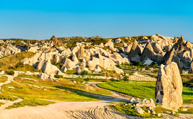 Wall Mural - Rock formations of Rose Valley at Goreme National Park in Turkey