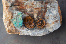 Natural Object Still Life Photography. Chrysocolla And Fossil Ammonite. Chyrsocolla Is First And Foremost A Stone Of Communication. Its Very Essence Is Devoted To Expression, Empowerment And Teaching.