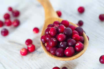 Poster - fresh cranberries on white wooden surface