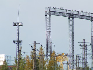 crane and building under construction