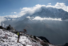 Yak Kharka, Nilgiri, Dhaulagiri Circuit Trek, Himalaya, Nepal
