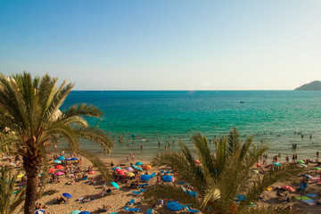 tropical beach with palm trees-benidorm- levante