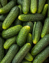 Close up of cucumber