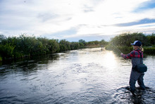 A Woman Fishing During The Brown Drake Hatch, Silver Creek River Idaho