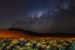 © Cavan Images - Milky way rising in the desert of Bolivia