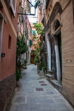 Fototapeta Panele - Vernazza, Cinque Terre, Italien
