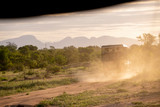 Fototapeta Natura - This is SAFARI ! dust, big trucks loaded with tourists, plants and mountains in the back.