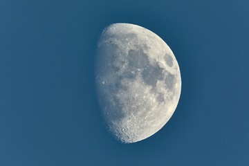 Wall Mural - the moon detailed shot in blue daylight sky, taken at 1600mm focal length, waxing gibbous phase