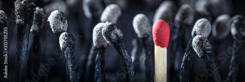 Fotografía Group Of Burnt Matchsticks With One Survivor - Employee Hiring / Leadership Conc