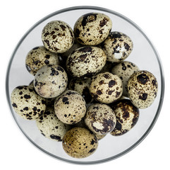 Canvas Print - Quail Eggs isolated on white background (selective focus; close-up shot)