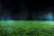 Spotlight shining on the green turf of an empty sports field at night.