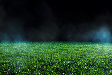 Wall Mural - Spotlight shining on the green turf of an empty sports field at night.