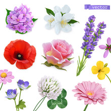 Spring Flowers. Lilac, Jasmine, Poppy, Rose, Lavender, Clover, Chamomile. 3d Realistic Vector Icon Set