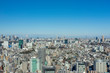 東京パノラマビュー