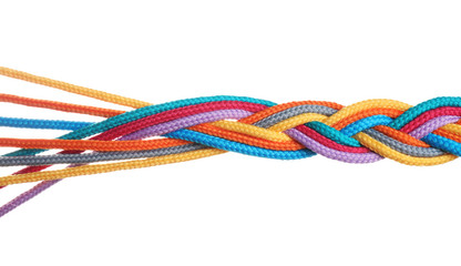 Wall Mural - Braided colorful ropes isolated on white. Unity concept