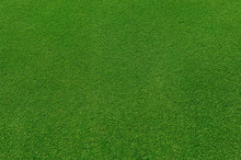  Top View Of Real Green Grass Background