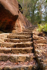 Sticker - A sand stone stairway going up the hill in Berowra National Park, Australia