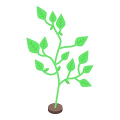Wall Mural - Farm soybean plant icon. Isometric of farm soybean plant vector icon for web design isolated on white background