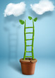 © dimj - Stairs to success creative concept, plant growth as ladder