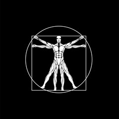 Leonardo da vinci vitruvian man vector