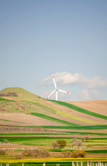 Suburban landscape. Windmills on farm among fields. Sunny summer day. Blue sky with white clouds. Green forest along road. Alternative energy unity with nature concept. Copy space. Selective focus.