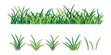 Green Fresh Young Spring Grass Isolated On White Background, Vector Illustration. Blade Of Grass And Greenery Bunch.
