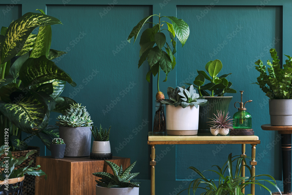 Stylish composition of home garden interior filled a lot of beautiful plants, cacti, succulents, air plant in different design pots. Green wall paneling. Template. Home gardening concept Home jungle. - obrazy, fototapety, plakaty 