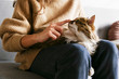 © Evrymmnt - Portrait of cute domestic cat with green eyes lying with owner at home. Unrecognizable young woman petting purebred straight-eared long hair kitty on her lap. Background, copy space, close up.