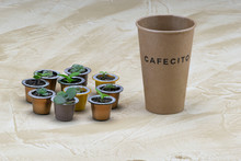 Recyclable Cardboard Coffee Cup Next To Coffee Capsules Made Plant Pots