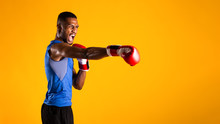 Athletic African Fighter Demonstrating Boxing Stance At Studio