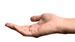© Pataradon - Hand open and ready to help or receive. Gesture isolated on white background with clipping path.