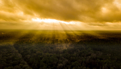  Sun rays shining dramatically through the clouds onto forest canopy.