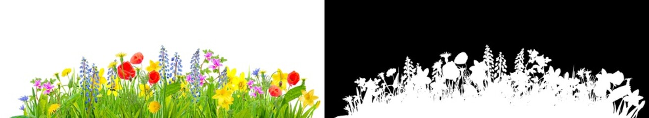 Wall Mural - spring grass and flowers isolated with clipping path for easy isolation