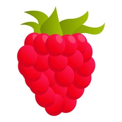 Wall Mural - raspberry food icon. cartoon of raspberry food vector icon for web design isolated on white backgrou