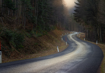 geschwungene Fahrbahn mit Gegenlicht und Wald