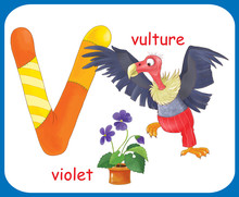 English Alphabet. ABC. Capital Letter V. Vulture, Violet.  Coloring Book. Coloring Page. Illustration For Children. Cute Cartoon Characters Isolated On White Background. Card. Poster 