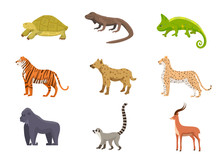 Wild African Animals Flat Vector Illustrations Set
